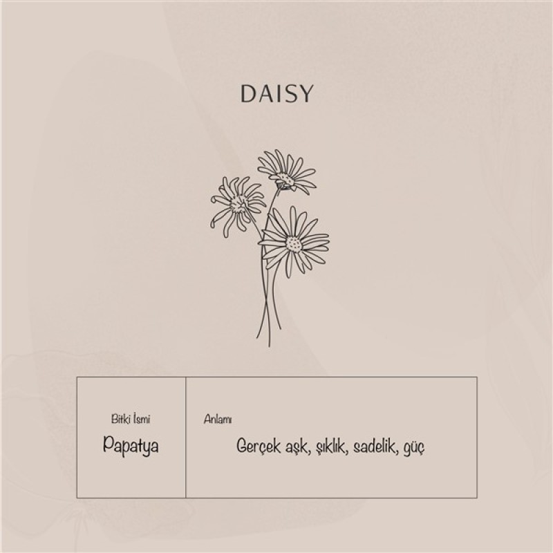 925 Ayar Gümüş Papatya Kolye