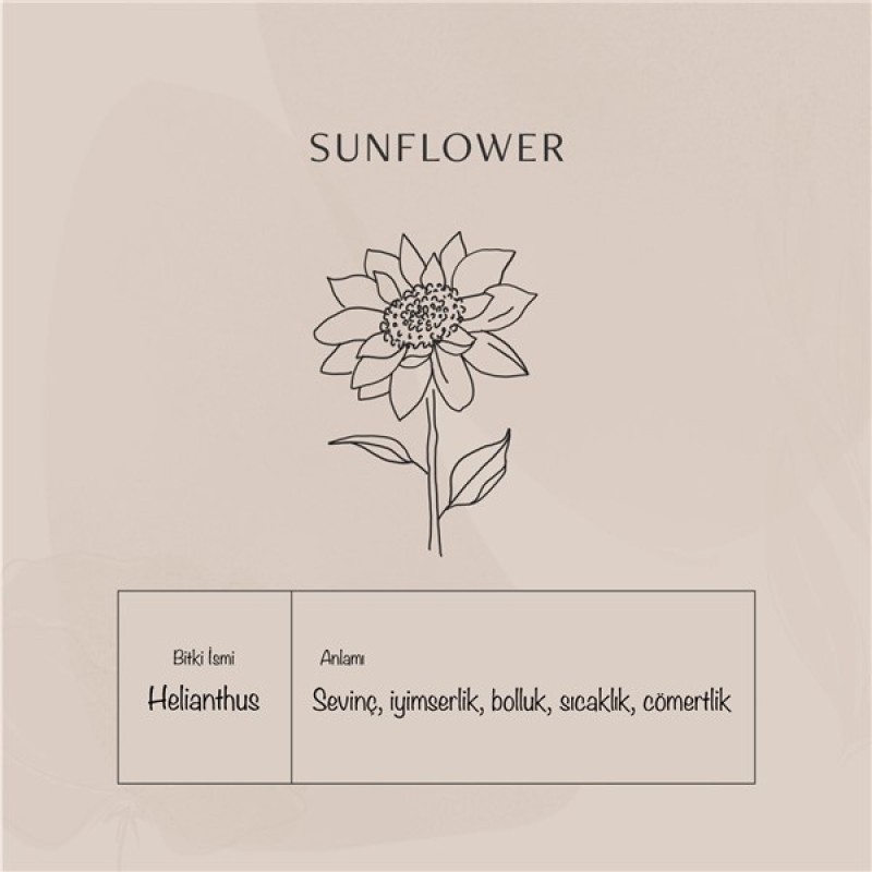 925 Ayar Gümüş Sunflower Kolye